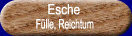 Esche - Prinzip der Fülle, des Reichtums