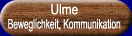 Ulme - Prinzip der Beweglichkeit, Kommunikation